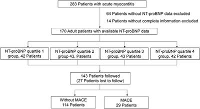 Prognosis Implication of N-Terminal Pro-B-Type Natriuretic Peptide in Adult Patients With Acute Myocarditis